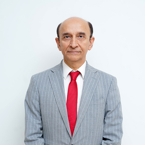Professor Mohammad Tayyab